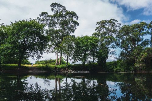 El sendero de los porqués