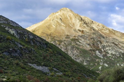Pico Murcia