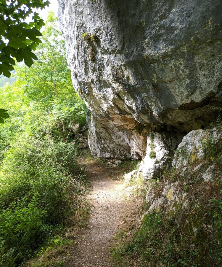 Desfiladero del rio casaño 2