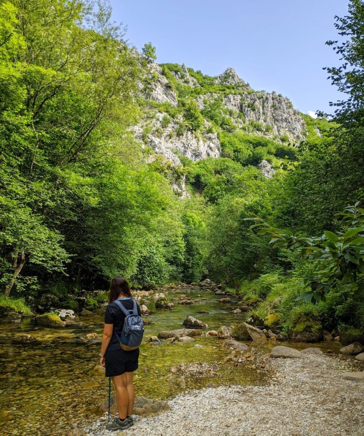 Desfiladero del rio casaño