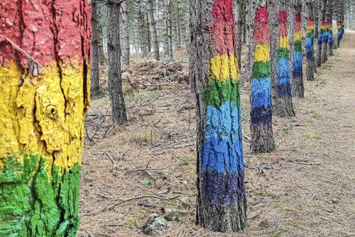 Bosque pintado de Valdeolea
