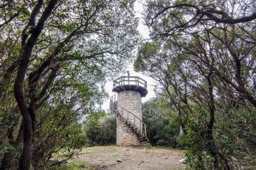 Monte Cincho