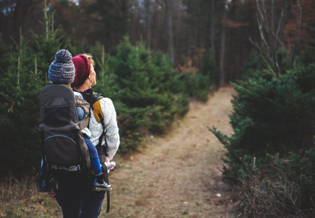 rutas con niños por cantabria