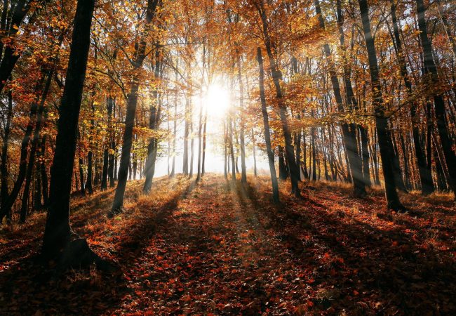 Ruta Otoño Cantabria